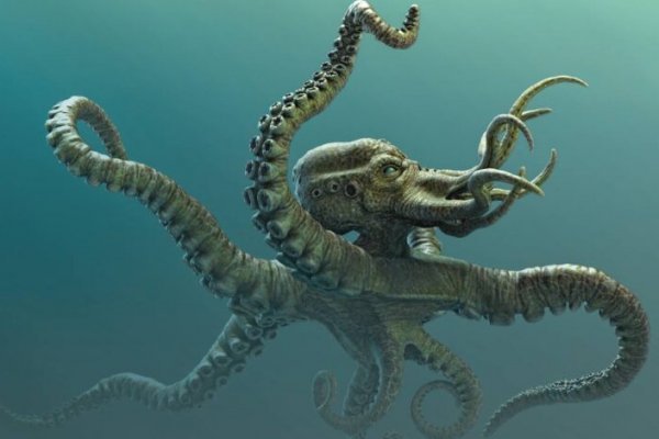 Kraken cc зеркало kr2web in