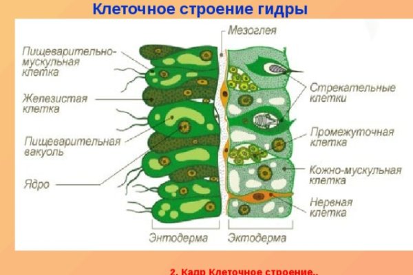 Современный маркетплейс kraken door