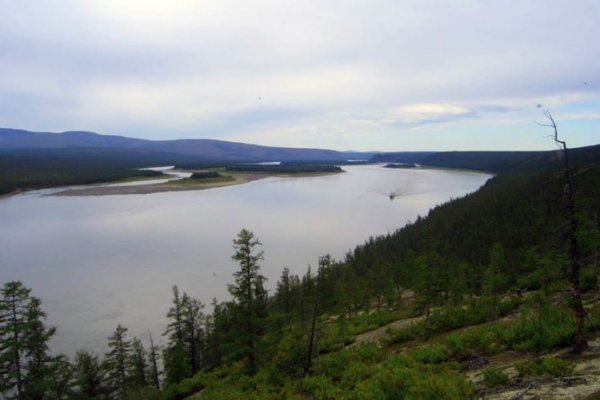 Ошибка на сервере кракен